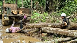 Thumbnail: Two country girls harvest large timber and display amazing skills.