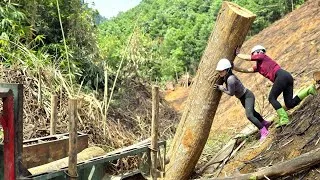 Thumbnail: Using a farm vehicle, the two girls transported huge logs along a dangerous, muddy road. 