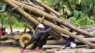 Thumbnail: Agricultural vehicles.Too dangerous 😱 Hey, run out quickly! 99 days of risky logging 