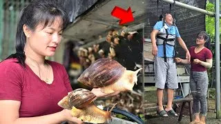 Thumbnail: The girl who raised giant snails, and her creative design of a back support belt for her father. 