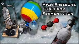 Thumbnail: Filling High Pressure CO2 Tanks From Fermentation