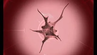 Thumbnail: A Deadly Fungus / Plague Inc  Evolved / First Play Thru / Ep 3