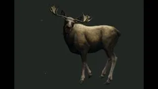 Thumbnail: Good Day For Moose / The Hunter: Call Of The Wild / First Play Thru / Part 111