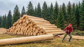 Thumbnail: I Built a Log Cabin in The Forest | START to FINISH in 300 Days