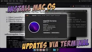 Thumbnail: Install MacOS Updates Via the Terminal
