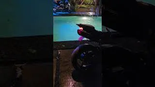 Thumbnail: #yamahar1