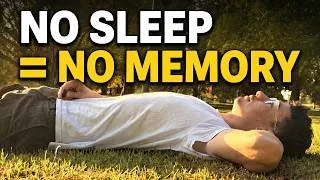 Thumbnail: Sleep Deprivation Is Destroying Your Memory | Here's Why