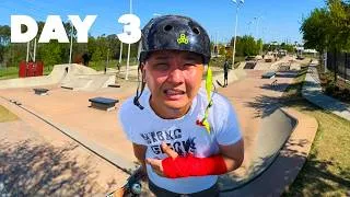 Thumbnail: I learned how to kickflip