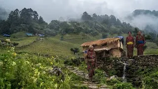 Thumbnail: Cooking in HEAVY RAIN 🌧️ | Peaceful Nepali Village Life 