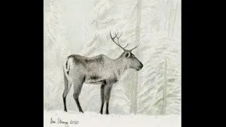 Thumbnail: How to draw a reindeer in the snow with crayons. Drawing a winter scene