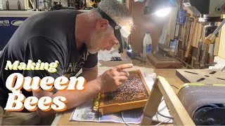 Thumbnail: Backyard Beekeeping: Queen Bee Breeding