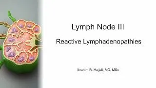 Thumbnail: Lymph Node part III - Reactive Lymphadenopathies