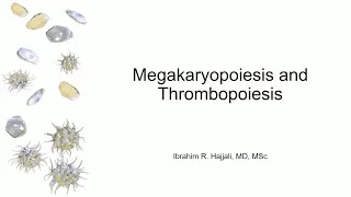 Thumbnail: Megakaryopoiesis and Thrombopoiesis