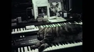 Thumbnail: CAT LISTENING TO MUSIC Clip | From Chris Marker's Bestiary: Five Short Films About Animals