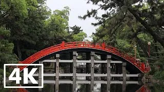 Thumbnail: Japan Ambience 4K - Osaka Shrine (Sumiyoshi Taisha)