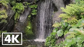 Thumbnail: Japan Ambience 4K - Kyoto Garden Waterfall