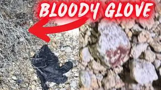 Thumbnail: NEW info: Bloody Gloves Found Less Than a Mile From Nancy Guthrie’s Home