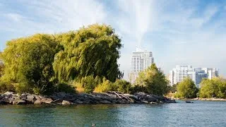 Thumbnail: November 8, 2025 South Etobicoke 