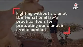 Thumbnail: Protecting the environment in armed conflict: what can international law do?