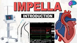 Thumbnail: Introduction to Impella - What is an Impella?