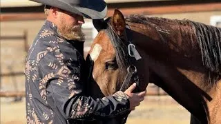Thumbnail: SHOEING my most DANGEROUS Horse
