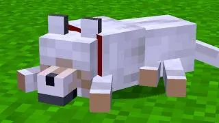 Thumbnail: 840 Minecraft Things You Didn't Know