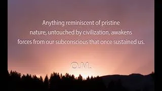 Thumbnail: One minute of meditation. Pristine Nature.