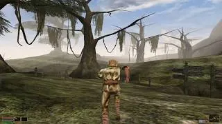 Thumbnail: Morrowind - Level 1 vs Level 100