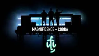 Thumbnail: Magnificence - Cobra (Played by Swedish House Mafia)