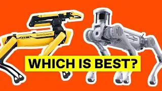Thumbnail: Robot Dog Obstacle Course