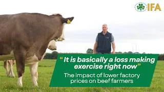 Thumbnail: Kildare IFA Open Beef Event