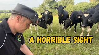Thumbnail: Dry Light Second Cut - How Drought Affects Us & An Unwanted Discovery