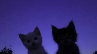 Thumbnail: it’s late, let yourself sleep