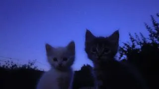 Thumbnail: stay here until you fall asleep