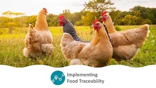Thumbnail: The National Food Traceability Implementation Program