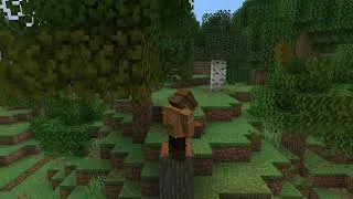Thumbnail: test.mov