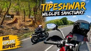Thumbnail: TOO SHORT But FUN RIDE | Tipeshwar Wildlife Sanctuary