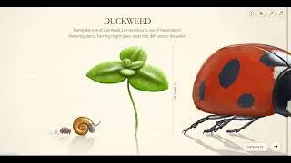 Thumbnail: Microscopic to Everyday Objects! 🧬...