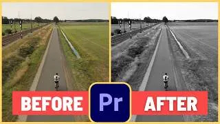 Thumbnail: Easy Black and White Effect in Premiere Pro How to Tutorial