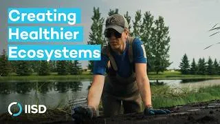 Thumbnail: What Are Floating Treatment Wetlands?
