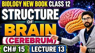 Thumbnail: Structure of Brain Class 12 | Cerebrum Structure & Functions | Chapter 15 Biology New Book PECTAA