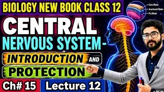 Thumbnail: Central Nervous System Class 12 | Brain & Spinal Cord Introduction and Protection Layers | New Book