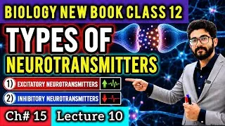 Thumbnail: Types of Neurotransmitters Class 12 | Excitatory and Inhibitory Neurotransmitters | Biology New Book