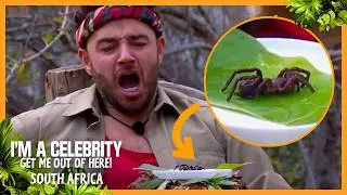 Thumbnail: Adam Thomas CAN’T STOP GAGGING! Final Disgusting Eating Trial | I'm A Celebrity... South Africa 2026