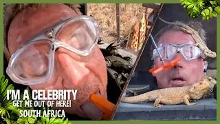 Thumbnail: Harry Redknapp's FINAL Bushtucker Trial in Headboxes of Hell | I'm A Celebrity... South Africa 2026