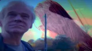 Thumbnail: I Need To Heal  Chris Kissinger/Joseph DeBrunner@Spooky2Rife  @RealWorldRecords