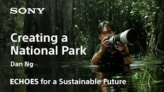 Thumbnail: ECHOES | Dan Ng | Sony