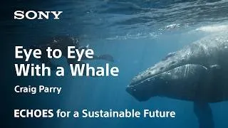 Thumbnail: ECHOES | Craig Parry | Sony