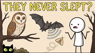 Thumbnail: What Did Wild Animals Do at Night Before Humans Existed?