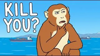 Thumbnail: Why Feeding Wild Animals Is More Dangerous Than You Think